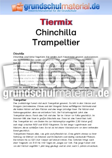 Chinchilla - Trampeltier.pdf